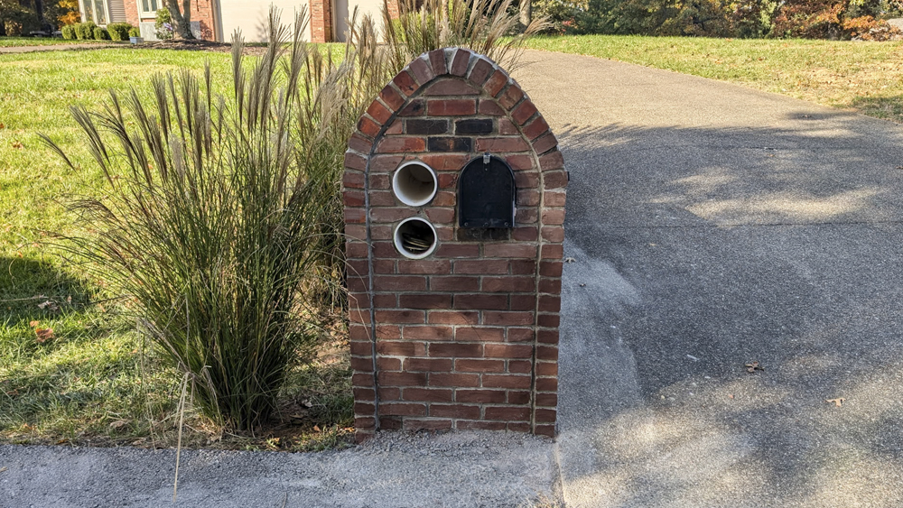 insert image here